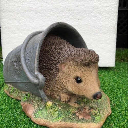 Hedgehog in pail